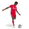 Short adidas Liverpool Fc Primera Equipación 2025-2026