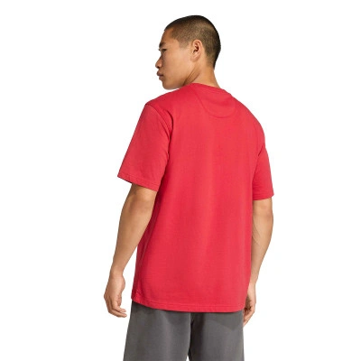 Camiseta Liverpool Fc Us Pack Fanswear 2025-2026