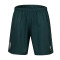 Soka Sociedad Deportiva Huesca 2025-2026 Third Shorts