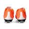 Chaussure de football Puma Vitoria II FG/AG