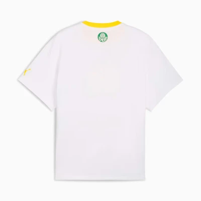 Camiseta Hoops X Palmeiras