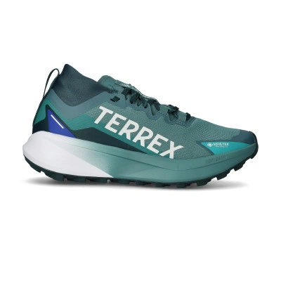 Terrex Agravic Gore-Tex Running Shoes