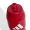 adidas Liverpool Fc 2025-2026 750 ml Bottle