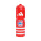 Botella adidas Fc Bayern 2025-2026