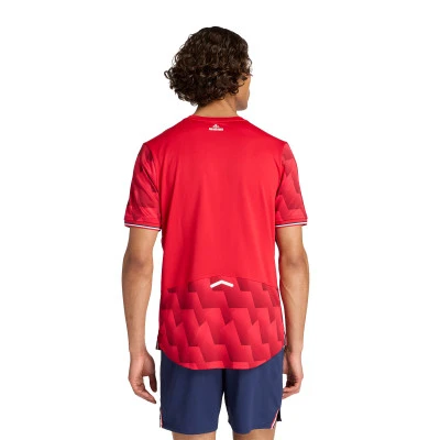 Lille 2025-2026 Home Jersey