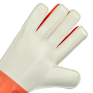 PALME-1