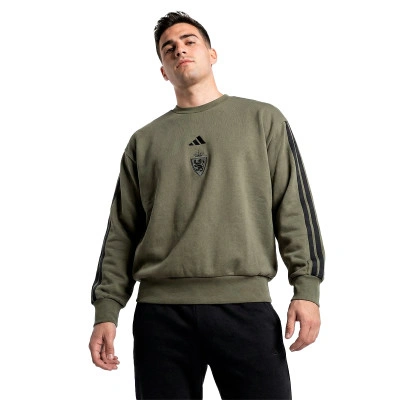 Sudadera Real Zaragoza Sportswear 2025-2026