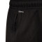 Pantalon Puma Alaves Training 2024-2025