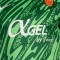 Nike RCD Mallorca Equipación Portero 2025-2026 Trikot
