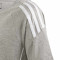 adidas Tiro 24 Cotton Taty Niño Titan Combat T-Shirt