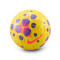 Nike Control 2025-2026 Ball