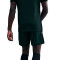 Calções Nike Academy 25 Dri-FIT Br