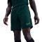 Calções Nike Academy 25 Dri-FIT Br
