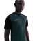 Nike Academy 25 Dri-FIT T-Shirt