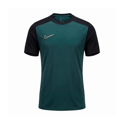 Camiseta Academy 25 Dri-FIT