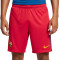 Nike FC Barcelona Fourth Kit 2025-2026 Shorts