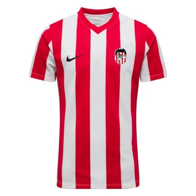 Camiseta Striped Division V m/c Niño C.D.Acero