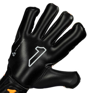 PAUME-1