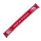 Granada FC Vamos Granada 2025-2026 Scarf