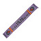 Valladolid CF Valladolid 2025-2026 Spain Stripes Scarf