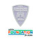 Parche Campeón Euro + UEFA Foundation 