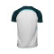 Hummel Kids Malaga CF 2025-2026 Training T-Shirt