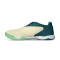 Puma Ibero V Futsal Shoes