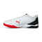 Puma Truco IV Turf Futsal Shoes