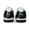 Puma Truco IV Turf Futsal Shoes