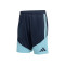 adidas Argentina Afa Training Mundial 2026 Shorts