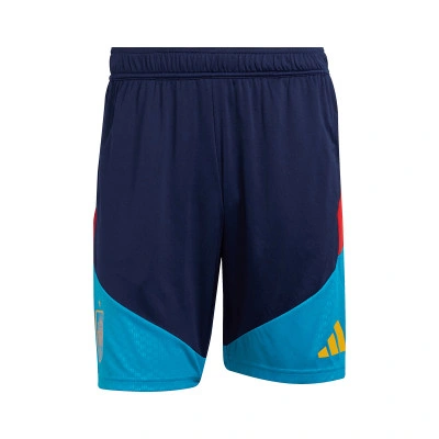 Spain Training World Cup 2026 Shorts