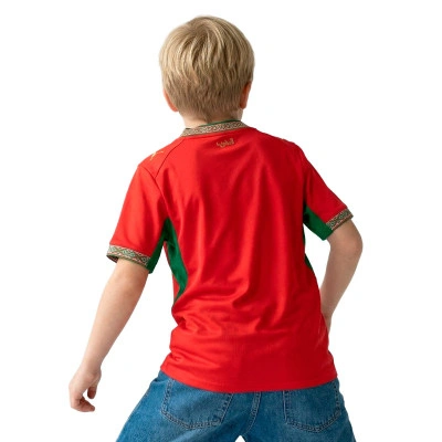 Jersey Marruecos Primer Uniforme Copa del Mundo 2026 Niño