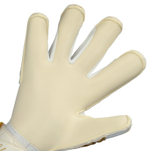 PAUME-1