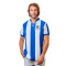 Camiseta Coolligan 1909 Real Sociedad M/C