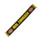 Real Zaragoza Real Zaragoza 2025-2026 Away Kit Scarf