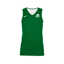 Reversible Team Basketball Niño A.E. Les Corts Top Pine Green-White