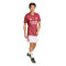 adidas Arsenal Fc Pre-Match 2025-2026 Jersey