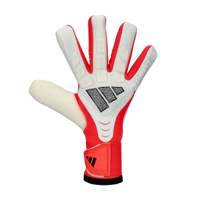 Guantes Predator Competition