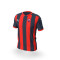 Camiseta Puma CD Vandalia de Peligros CF 1ª Equipación 2025-2026 Niño