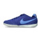 Nike Tiempo Streetgato Futsal Shoes