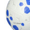 Balón Nike Nike Academy