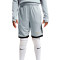 Short Nike Academy 25