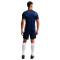 Camiseta Nike Academy 25 Dri-FIT SS Top Br