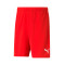 Pantalón corto Puma teamRISE CE MANRESA