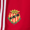 Calções adidas Gimnàstic de Tarragona Training Jogadores 2025-2026