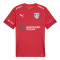 Camiseta Puma Segunda Equipación Portero Regional Preferente Con Dorsal