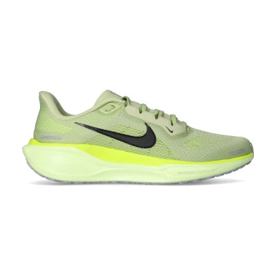 Chaussures Air Zoom Pegasus 41