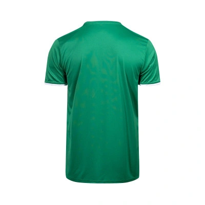 adidas Camiseta Entrada26 — photo 3