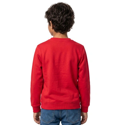 Kids Customizable Cotton Park 26 Sweatshirt