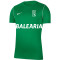 Camiseta Nike Park 20 m/c Niño CD Denia PRIMER EQUIPO